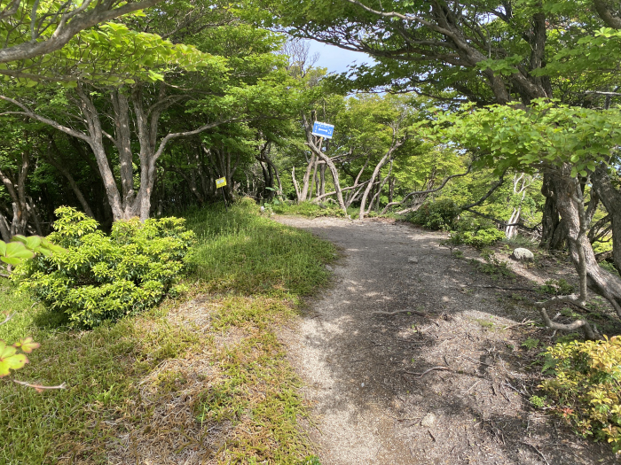 東近江市杠葉尾町/釈迦ヶ岳