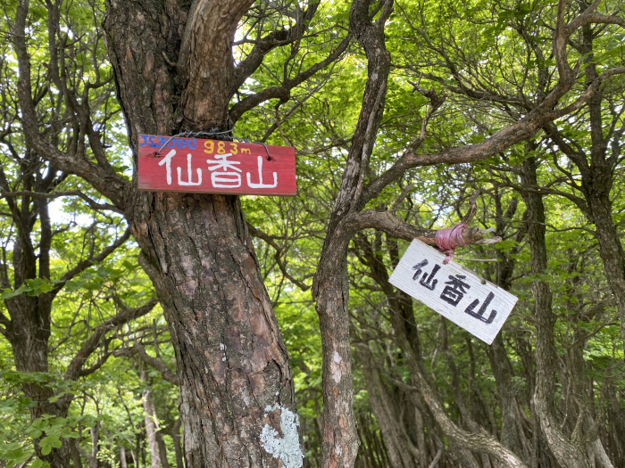 東近江市杠葉尾町/釈迦ヶ岳