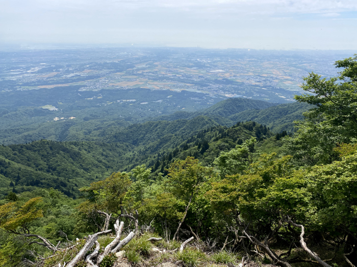 東近江市杠葉尾町/釈迦ヶ岳