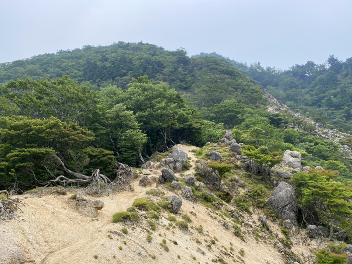 三重郡菰野町菰野/鎌ヶ岳