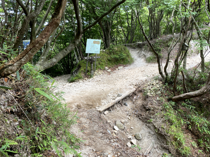 峠リスト/武平峠
