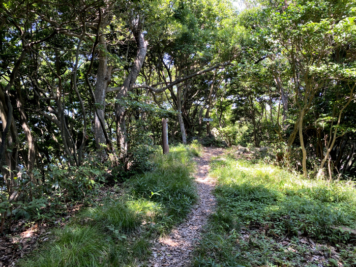 豊岡市竹野町竹野/賀嶋山、猫埼灯台