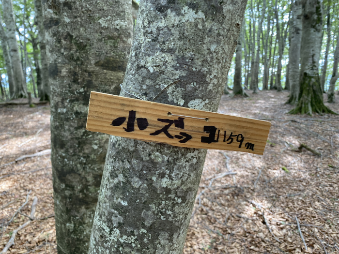 八頭郡若桜町諸鹿/扇ノ山