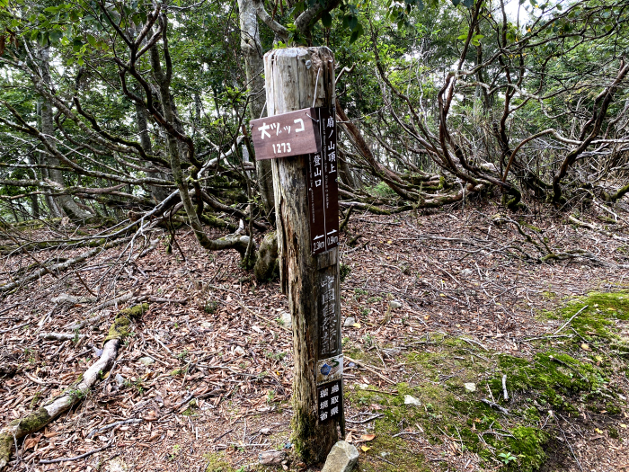 八頭郡若桜町諸鹿/扇ノ山
