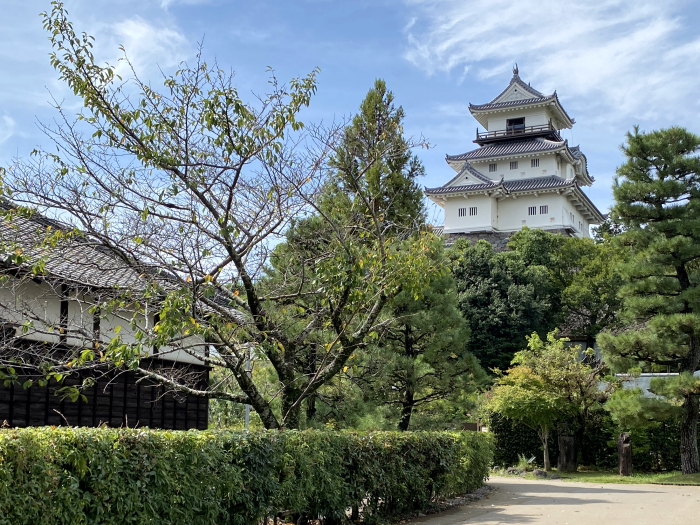 掛川市掛川/掛川城