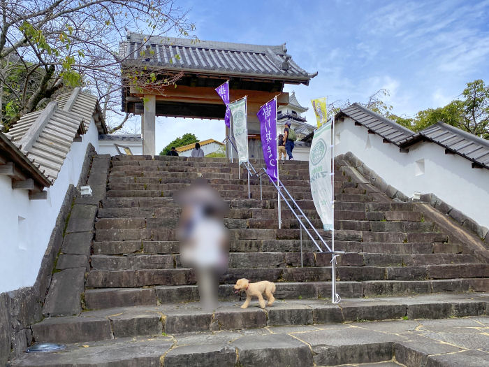 掛川市掛川/掛川城