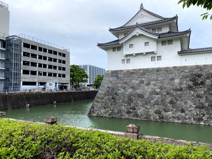静岡市葵区駿府城公園/駿府城