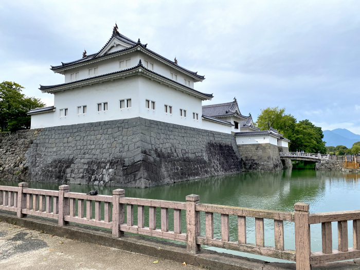 静岡市葵区駿府城公園/駿府城