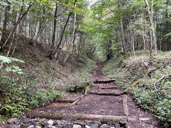 富士吉田市上吉田/富士山吉田ルート