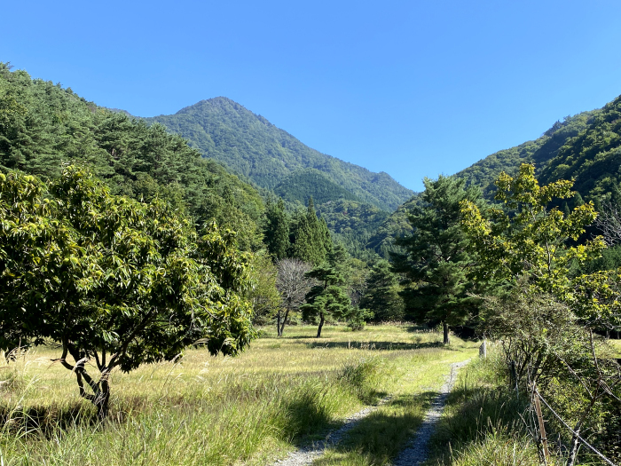 南都留郡富士河口湖町西湖/雪頭ヶ岳、鬼ヶ岳