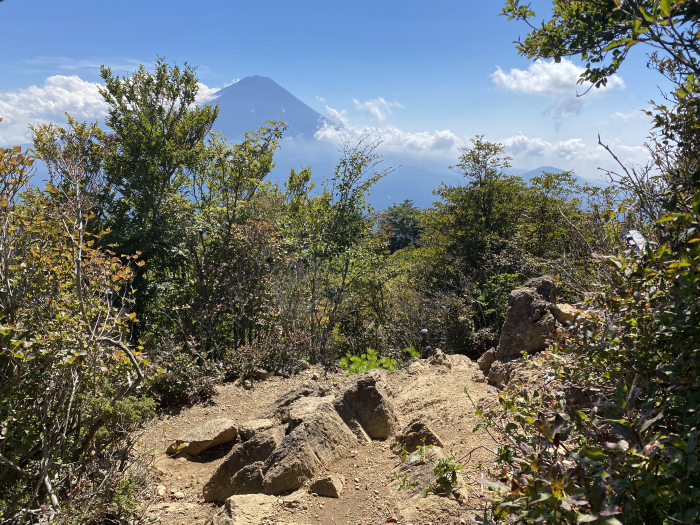 南都留郡富士河口湖町西湖/雪頭ヶ岳、鬼ヶ岳