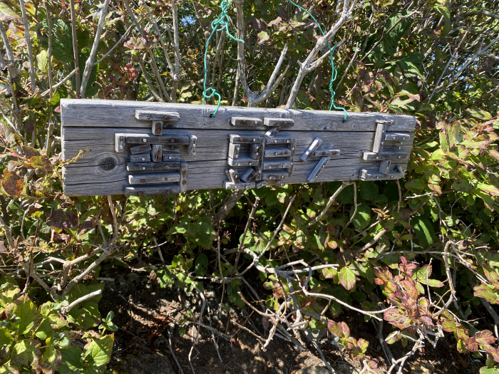 南都留郡富士河口湖町西湖/雪頭ヶ岳、鬼ヶ岳