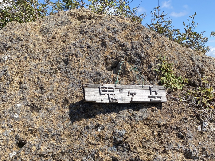 南都留郡富士河口湖町西湖/雪頭ヶ岳、鬼ヶ岳