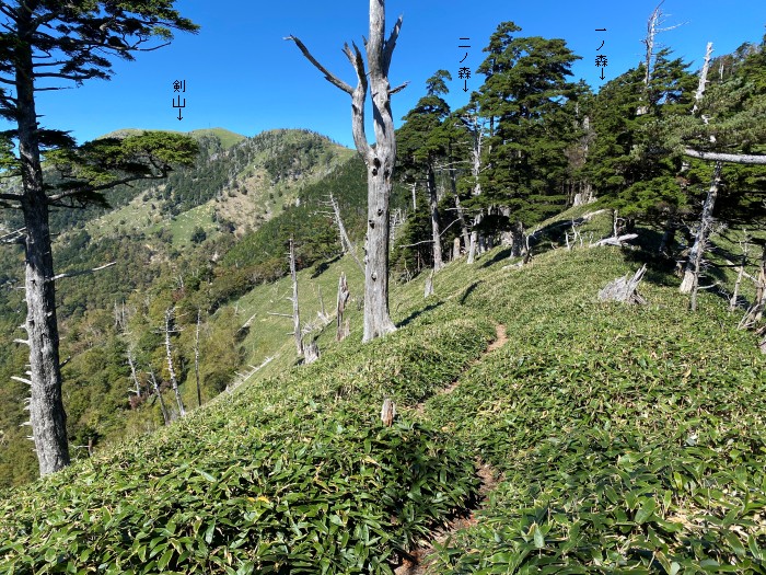 那賀郡那賀町岩倉/槍戸山、一ノ森