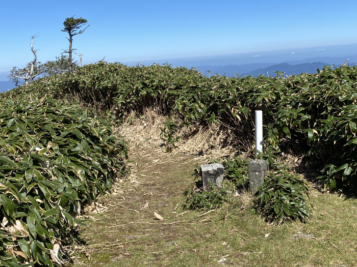 那賀郡那賀町岩倉/槍戸山、一ノ森