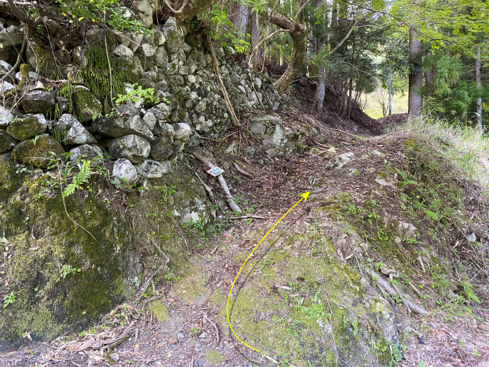 那賀郡那賀町木頭北川/四ツ足峠