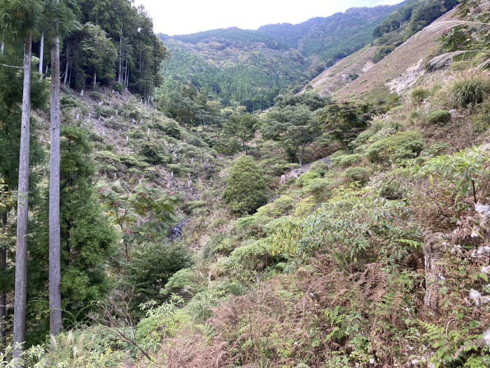 那賀郡那賀町木頭北川/四ツ足峠
