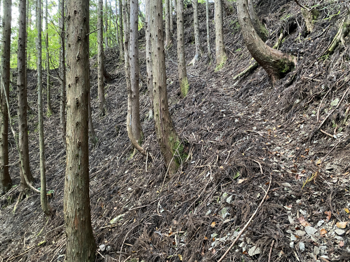 那賀郡那賀町木頭北川/四ツ足峠