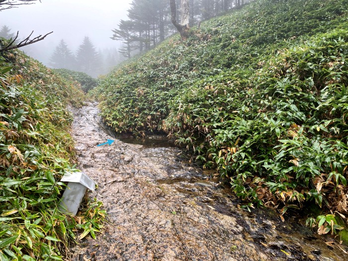 吾川郡いの町寺川/瓶ヶ森