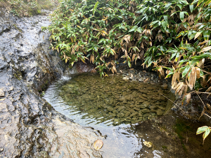 高知県吾川郡いの町寺川/瓶ヶ森