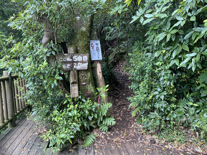 指宿市開聞十町/開聞岳