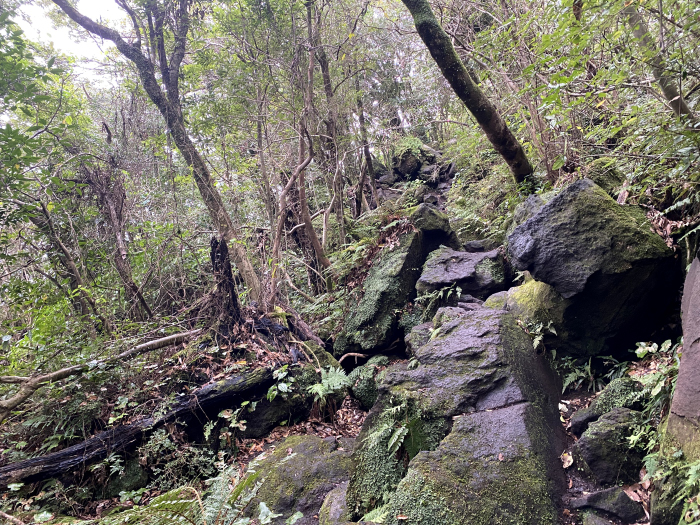指宿市開聞十町/開聞岳