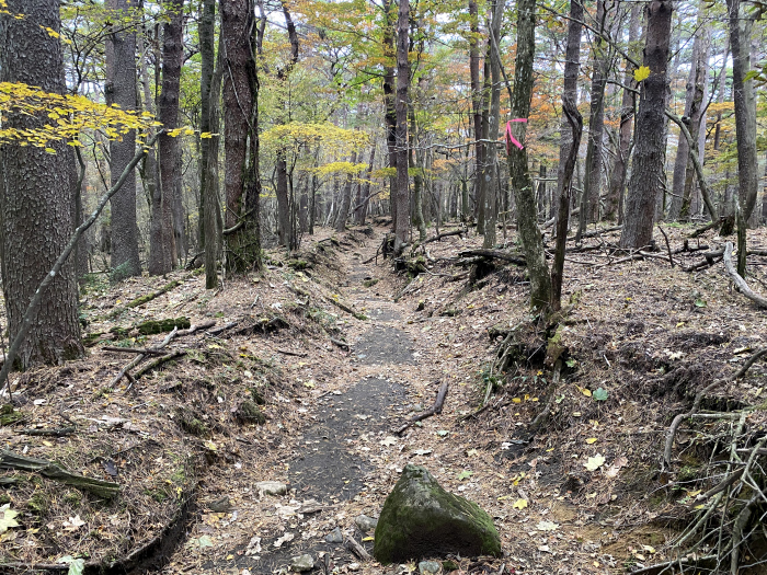 えびの市末永/霧島山_韓国岳
