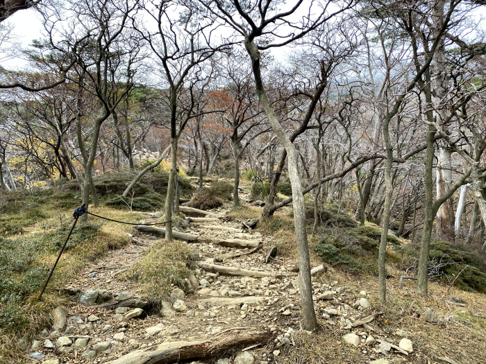 えびの市末永/霧島山_韓国岳