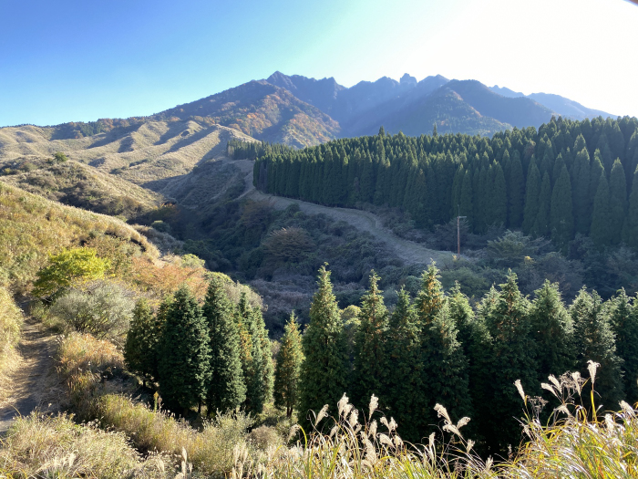 阿蘇郡高森町色見/阿蘇山_根子岳東峰