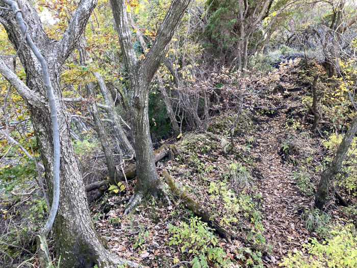 阿蘇郡高森町色見/阿蘇山_根子岳東峰