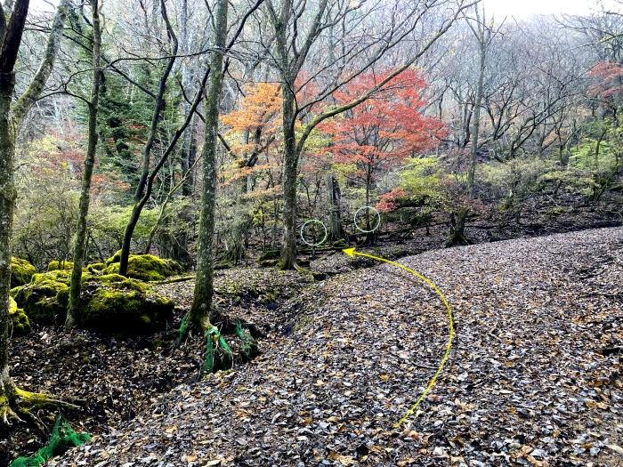竹田市久住町有氏/くじゅう連山_平治岳