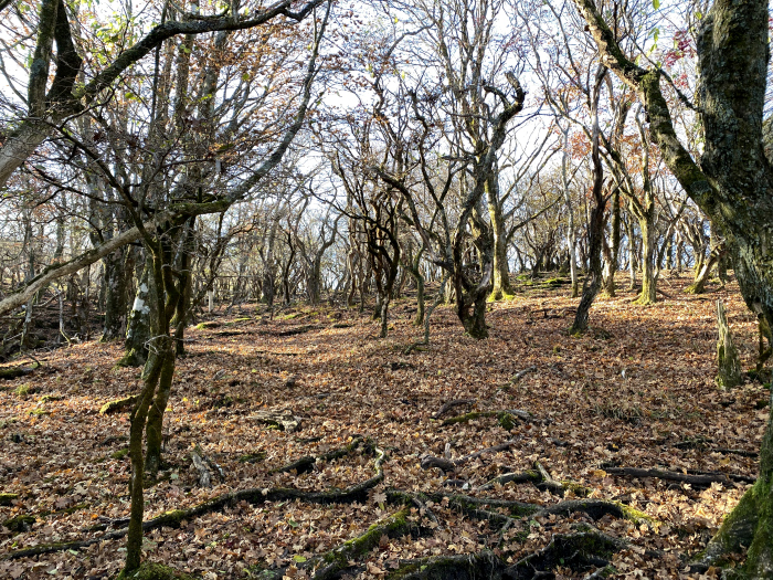 竹田市久住町有氏/くじゅう連山_平治岳
