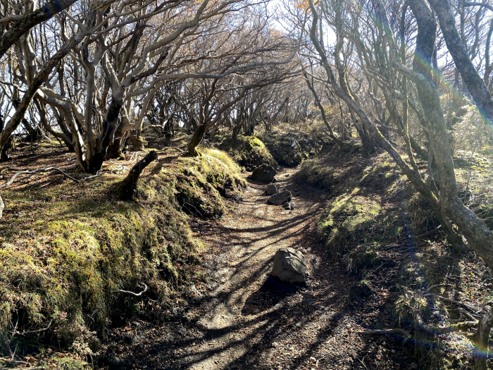 竹田市久住町有氏/くじゅう連山_大船山
