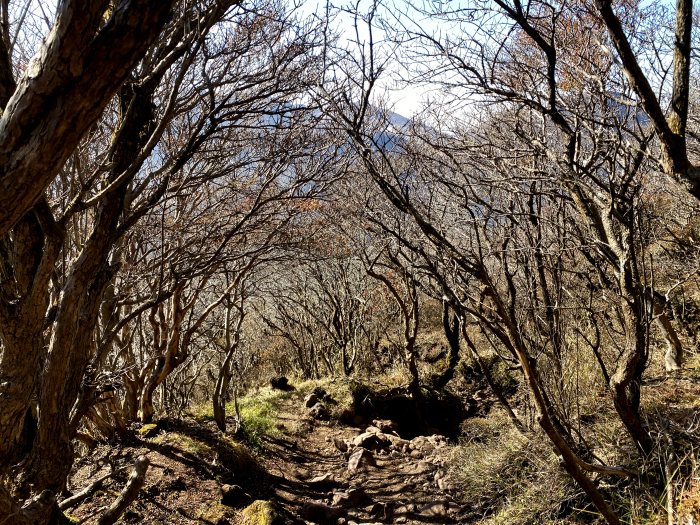 竹田市久住町有氏/くじゅう連山_大船山