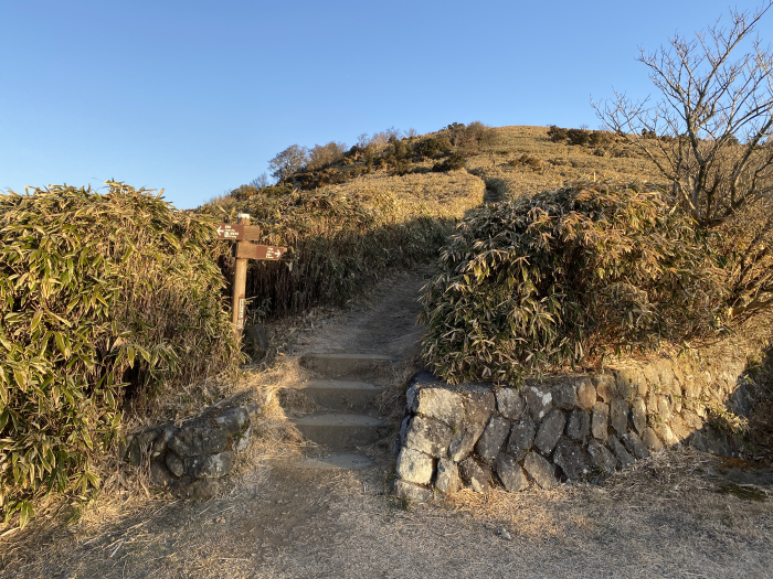 伊豆市修善寺/達磨山