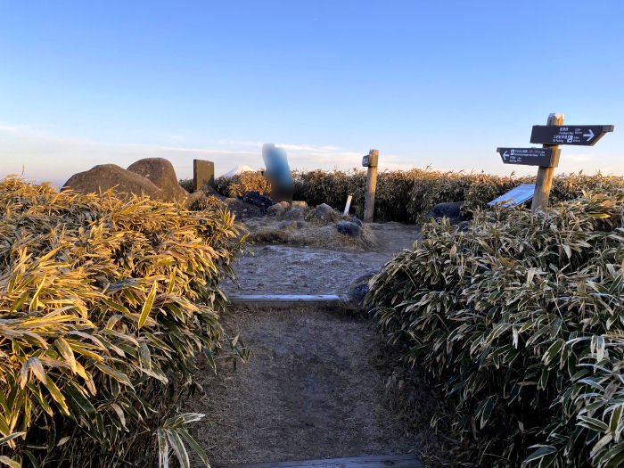 伊豆市修善寺/達磨山