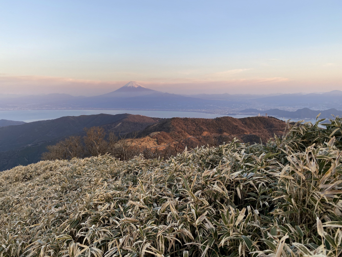 伊豆市修善寺/達磨山