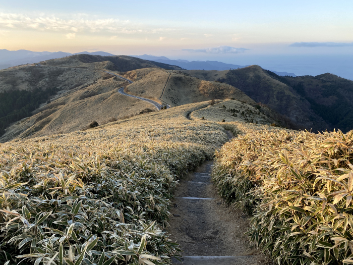 伊豆市修善寺/達磨山
