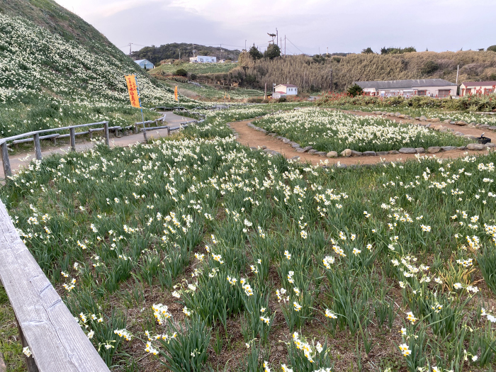下田市須崎/爪木埼灯台