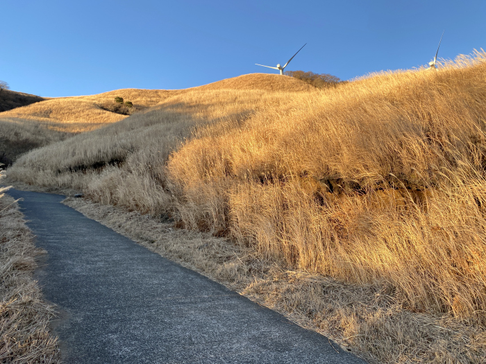 賀茂郡東伊豆町白田/三筋山