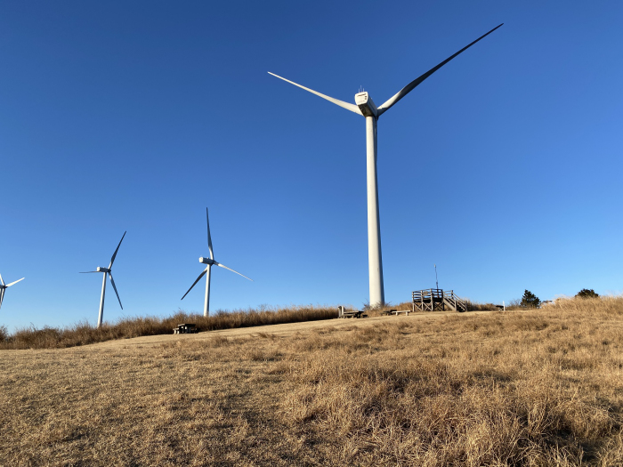 山リスト/達磨山、寝姿山、三筋山、大室山