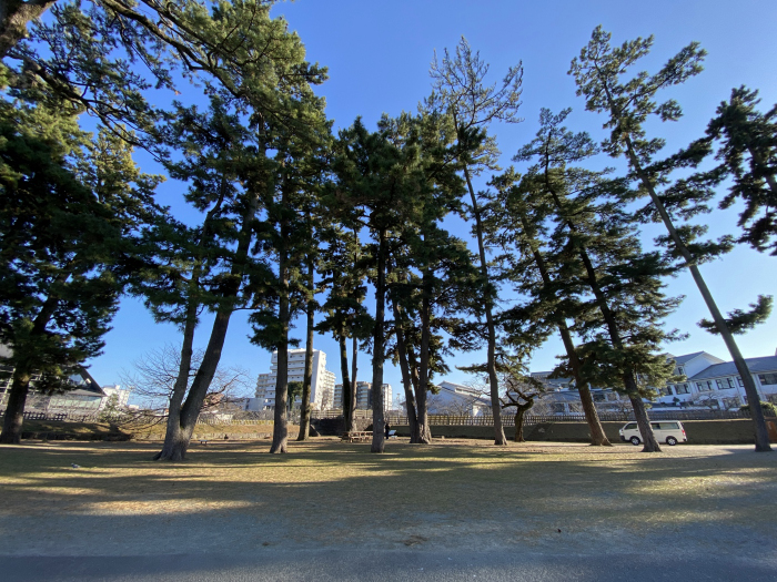 小田原市城内/小田原城