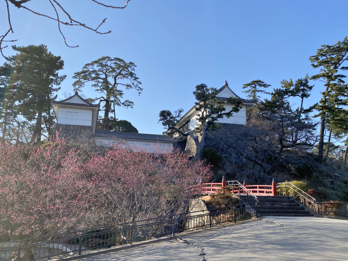 小田原市城内/小田原城