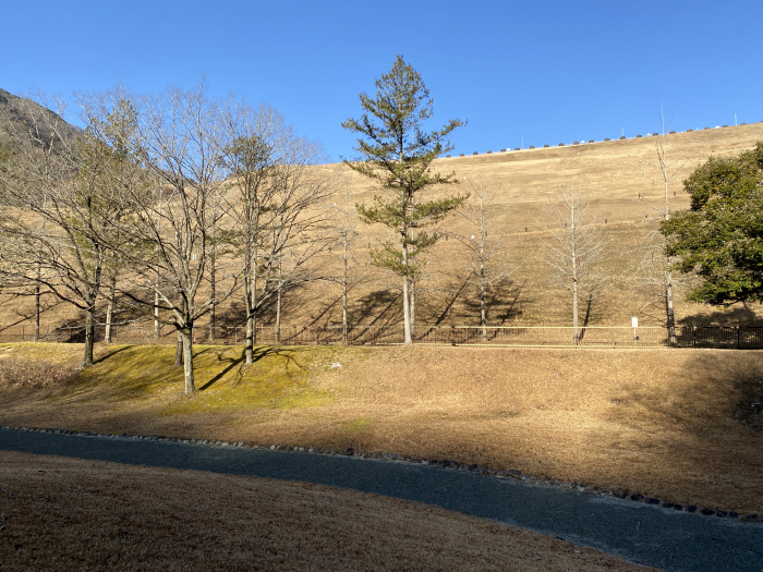 足柄上郡山北町神尾田/三保ダム