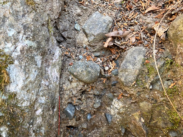 駿東郡小山町生土/神縄断層