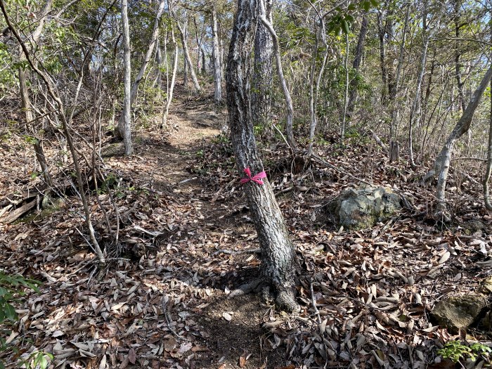 三田市下青野/大谷山