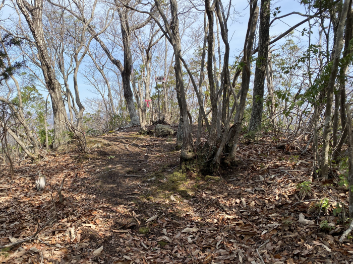 三田市下青野/大谷山