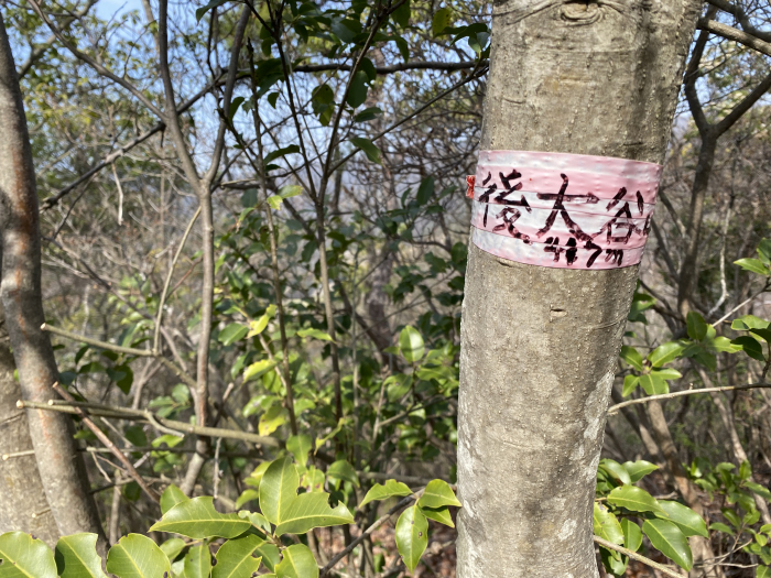 三田市下青野/大谷山