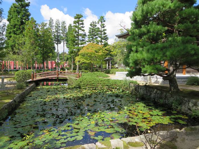 三田市永沢寺/青原山永澤寺写真