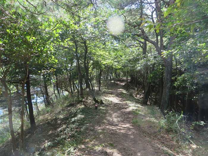 多可郡多可町加美区/千ヶ峰尾根道写真